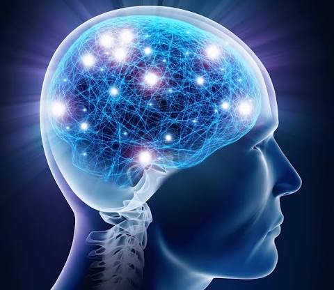 Neuroplastyczność jak zmienia się mózg w procesie nauki 